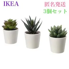 【新品】IKEA イケア フェイカ 人工観葉植物 鉢カバー付き 6cm 3ピース