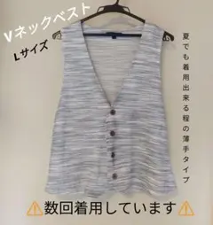 青と白のストライプ Vネック ベスト