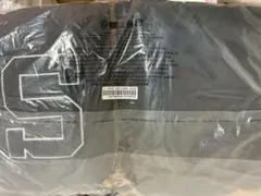 2026年最新】goodenough ピンバッジの人気アイテム - メルカリ