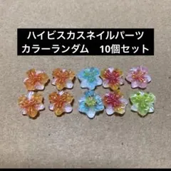 ハイビスカスネイルパーツ 10個セット - メルカリ