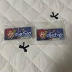 あんさんぶるスターズ あんスタ 2wink 葵ひなた バナコレ 缶バッジ