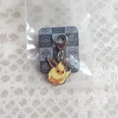 ポケモン ブースター メタルチャーム