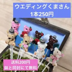 〜そのまま飾れる〜多肉植物寄せ植え(樹脂粘土レジン)クマピック