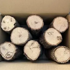 Item thumbnail for item add12ae5-f4af-4894-ac99-9e0d736378d9