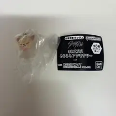 StrayKids FoxI.Ny めじるしアクセサリー　SKZOO ガチャ