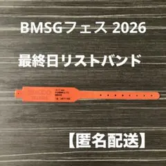 BMSG FES 2026 最終日リストバンド