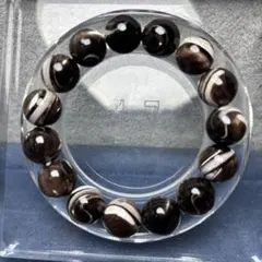 2026年最新】夜光貝の人気アイテム - メルカリ