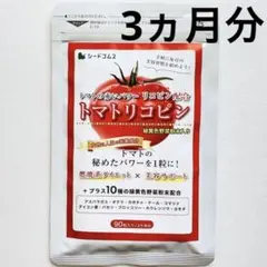 Item thumbnail for item edffefdb-9d54-45c1-86d2-428ceaf829b7