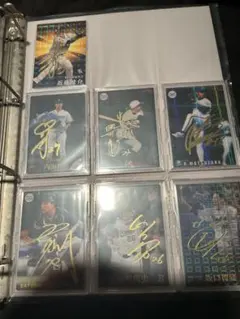 プロ野球チップスカード　まとめ売り