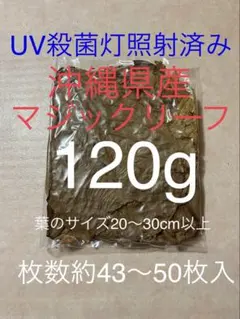沖縄県やんばる産マジックリーフ 1kg UV殺菌灯照射済み⑤ 2026年最新】マジックリーフの人気アイテム - メルカリ