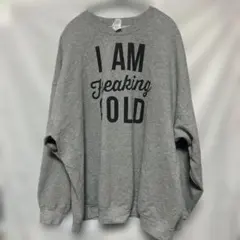 GILDAN ギルダン スウェット クルーネック長袖 文字 3XL 灰色のサムネイル
