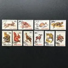 Item thumbnail for item 1ffca165-9786-4736-a7ff-dfd0a3479857