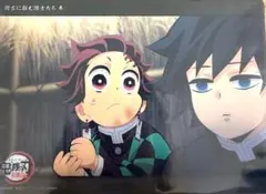 鬼滅の刃　ビッグクリアカード WEBSHOPくじ　柱稽古編　冨岡義勇