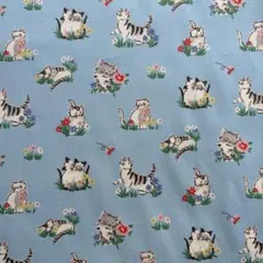 Item thumbnail for item 14a26ec5-22ca-4735-b4bf-53aa121bae30