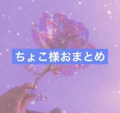 ちょこ@プロフ必読様 リクエスト 2点 まとめ商品