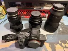2026年最新】SONY α7iii tamronの人気アイテム - メルカリ