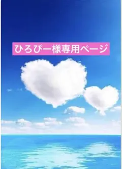 ひろぴー様専用ページまる③