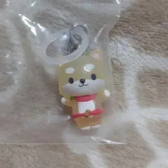 【匿名配送】JOCHUM めじるしアクセサリー2 まめちぃ 豆原一成