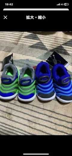 NIKEダイナモフリーキッズスニーカー