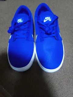 Nike sb 26cm 未使用品