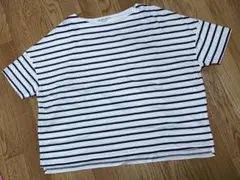 any FAM ボーダー　Tシャツ　Fサイズ