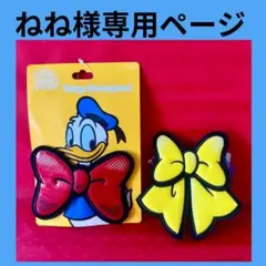 ねね様専用ページ　パルパルーザ　ドナルド　クワッキーダックシティ　2点セット