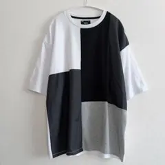 未使用 PRE_ ビームス別注 スウェット Tシャツ L クレイジーパターン 
