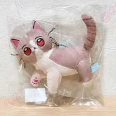 ずとまよ ゾンクラ ブラック にらちゃん ショガスト ぬいぐるみ バラ売り可 ずとまよ ゾンクラ ブラック にらちゃん ショガスト ぬいぐるみ バラ