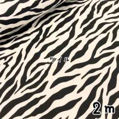 Item thumbnail for item 08085882-ab23-409d-aa9c-3dc4065727de