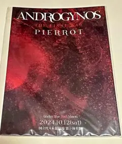 ANDROGYNOS パンフレット2冊セット 2026年最新】アンドロジナス パンフレットの人気アイテム - メルカリ