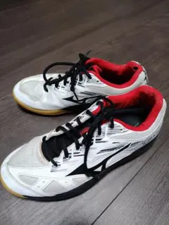 MIZUNO バドミントンシューズ SKY BLASTER2のサムネイル