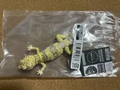 いきもの大図鑑アドバンス レオパードゲッコー（ベルアルビノ）