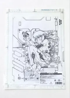 攻殻機動隊展 クリアファイル 空山基 送料無料 攻殻機動隊 士郎正宗