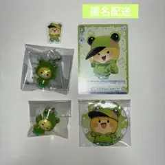 からぴち シヴァ まとめ売り