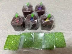 ∞ひっこぬきピクミン Lite コンプリートセット ×2 - メルカリ