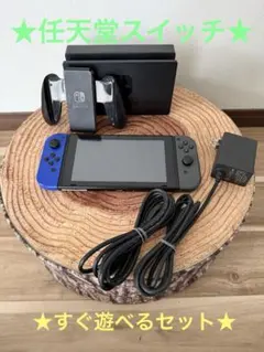 Nintendo Switch ニンテンドースイッチ本体ブルー/グレー箱無し