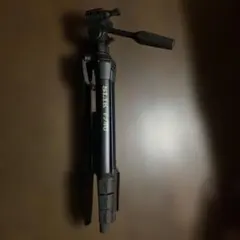 Item thumbnail for item 495b2845-d47c-4bc6-b91f-67aec5258d9c