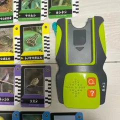 Item thumbnail for item 7e930361-41ca-4eaf-9c38-f48bf9359794