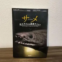 サメ―巨大ザメから深海ザメまで