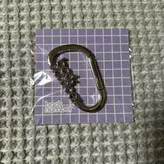 back number ロゴ別注カラビナ2種類セット - メルカリ