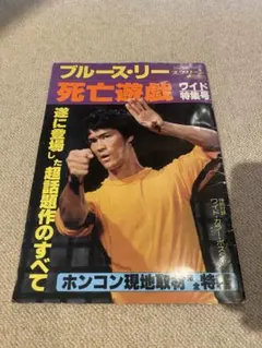 ブルース・リー　洋書　専用出品 2026年最新】ブルース・リー雑誌の人気アイテム - メルカリ
