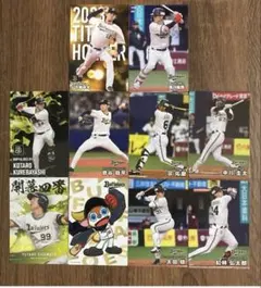 2024・2025カルビープロ野球チップスカード オリックス・バファローズ