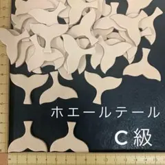 Item thumbnail for item 02d6a537-97b8-4455-a0ea-a51fb185be3f