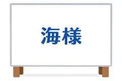 海様 リクエスト 2点 まとめ商品