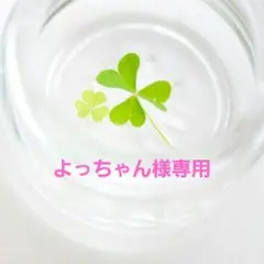 よっちゃん様専用 揺れるいちごヘアゴム 2つ