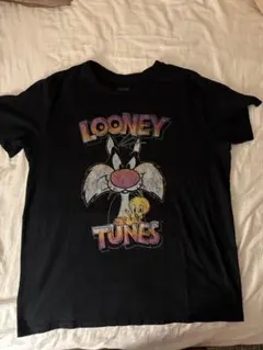 ビンテージ　古着　ルーニーテューンズ　アニメ　メンズ　半袖tシャツ　黒のサムネイル