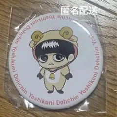 CHEMISTRY 堂珍嘉邦　缶バッジ　ケミストリー