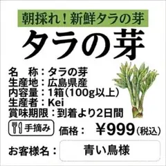 【青い鳥様専用ページ】　タラの芽　100g つくし　コゴミ　カンゾウ