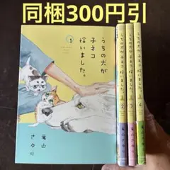 うちの犬が子ネコ拾いました。 = Dog meets Baby Cats!!