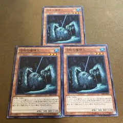 ザリガニ様 リクエスト 3点 まとめ商品